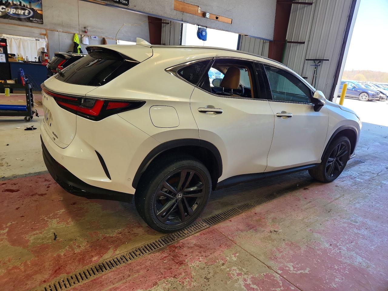 2025 LEXUS NX 450H LUXURY photo 6