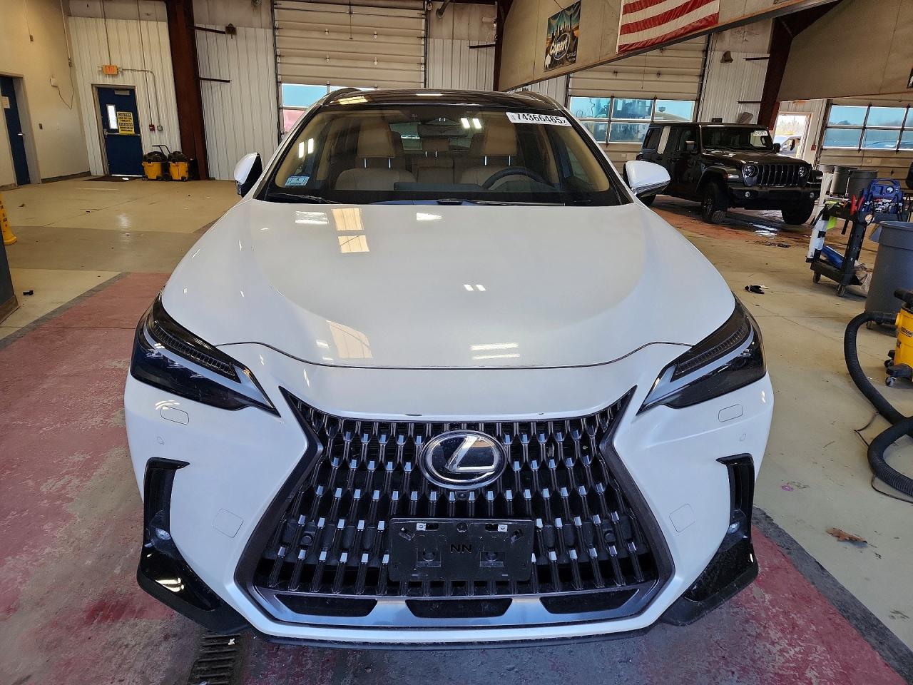 2025 LEXUS NX 450H LUXURY photo 10