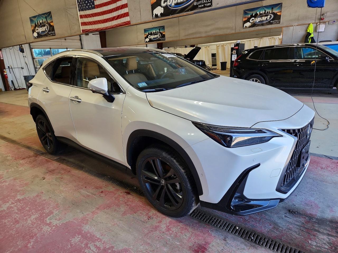 2025 LEXUS NX 450H LUXURY photo 8
