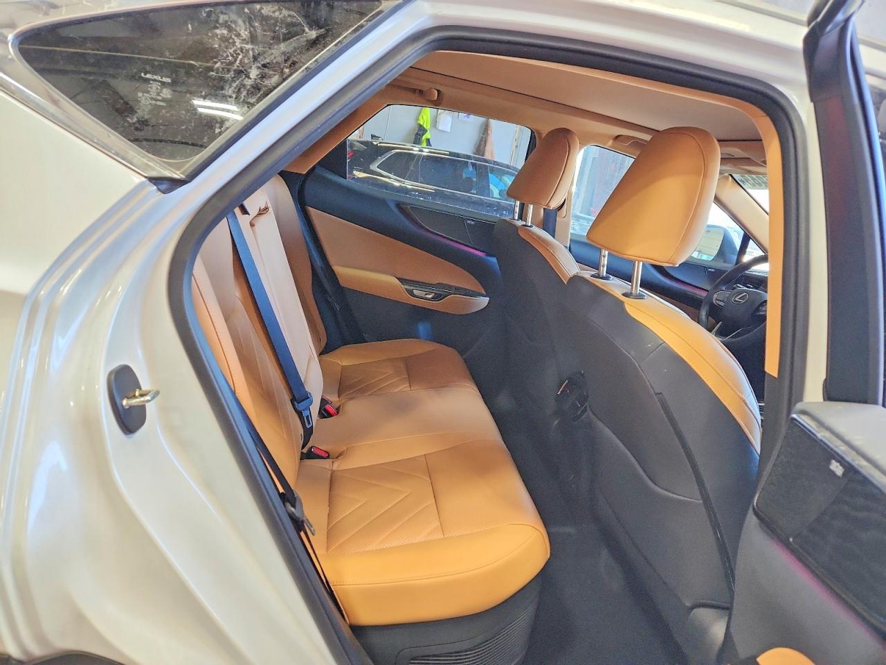 2025 LEXUS NX 450H LUXURY photo 21