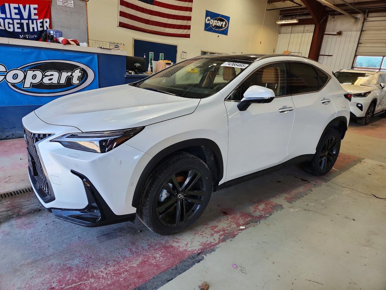 2025 LEXUS NX 450H LUXURY photo 2