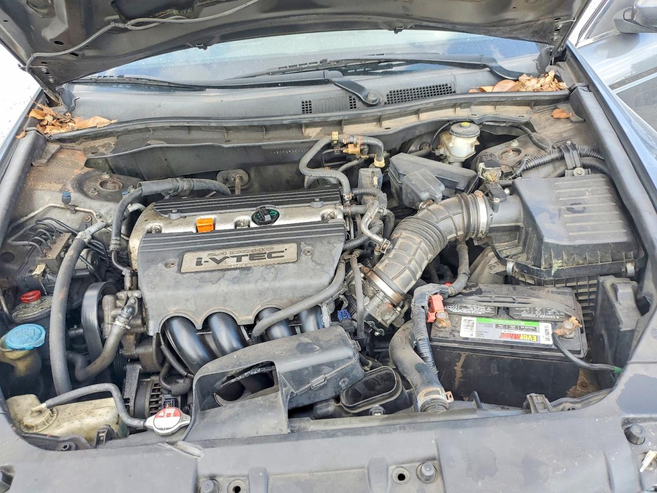 2010 HONDA ACCORD LX photo 11