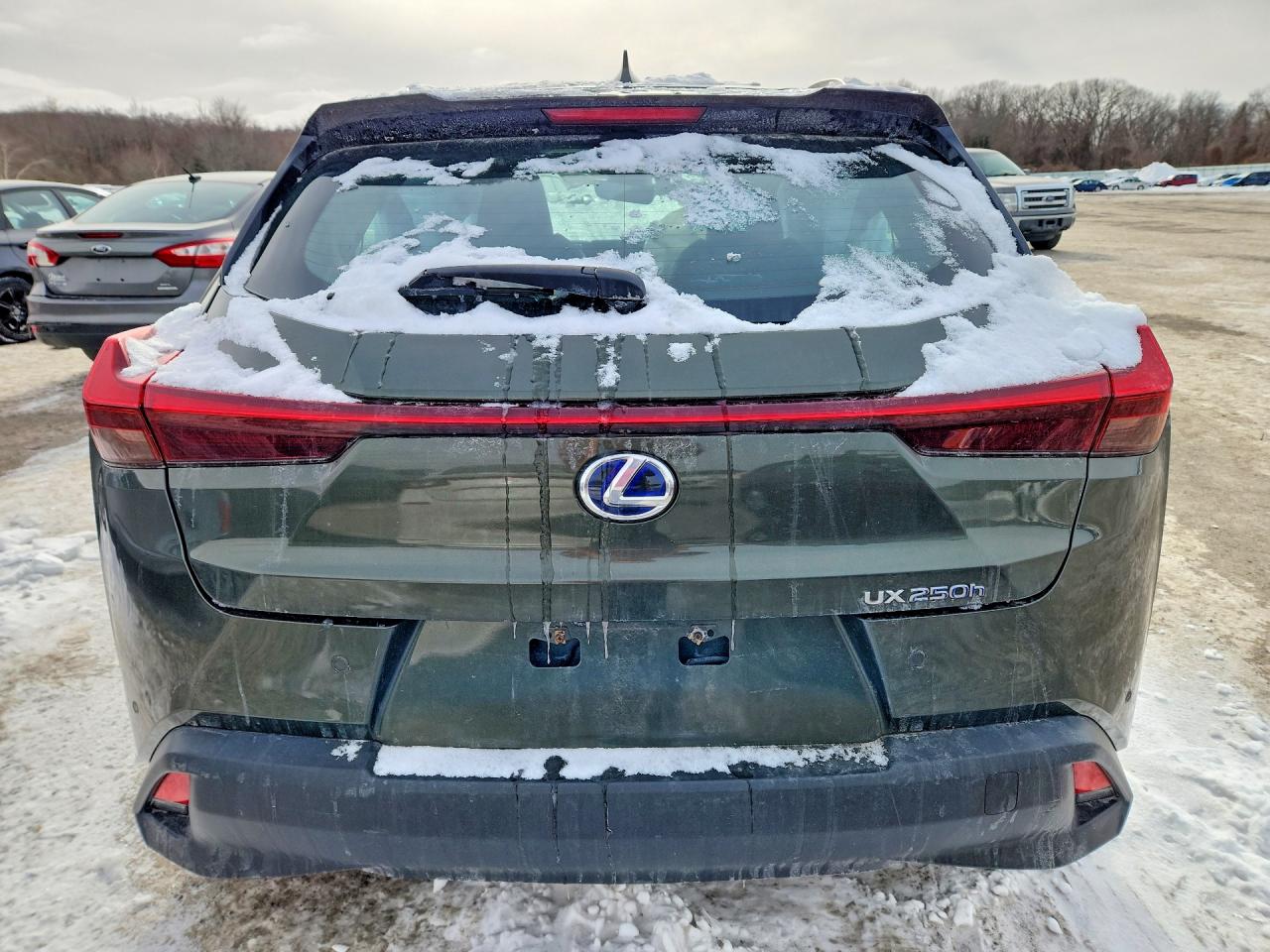 2020 LEXUS UX 250H photo 6