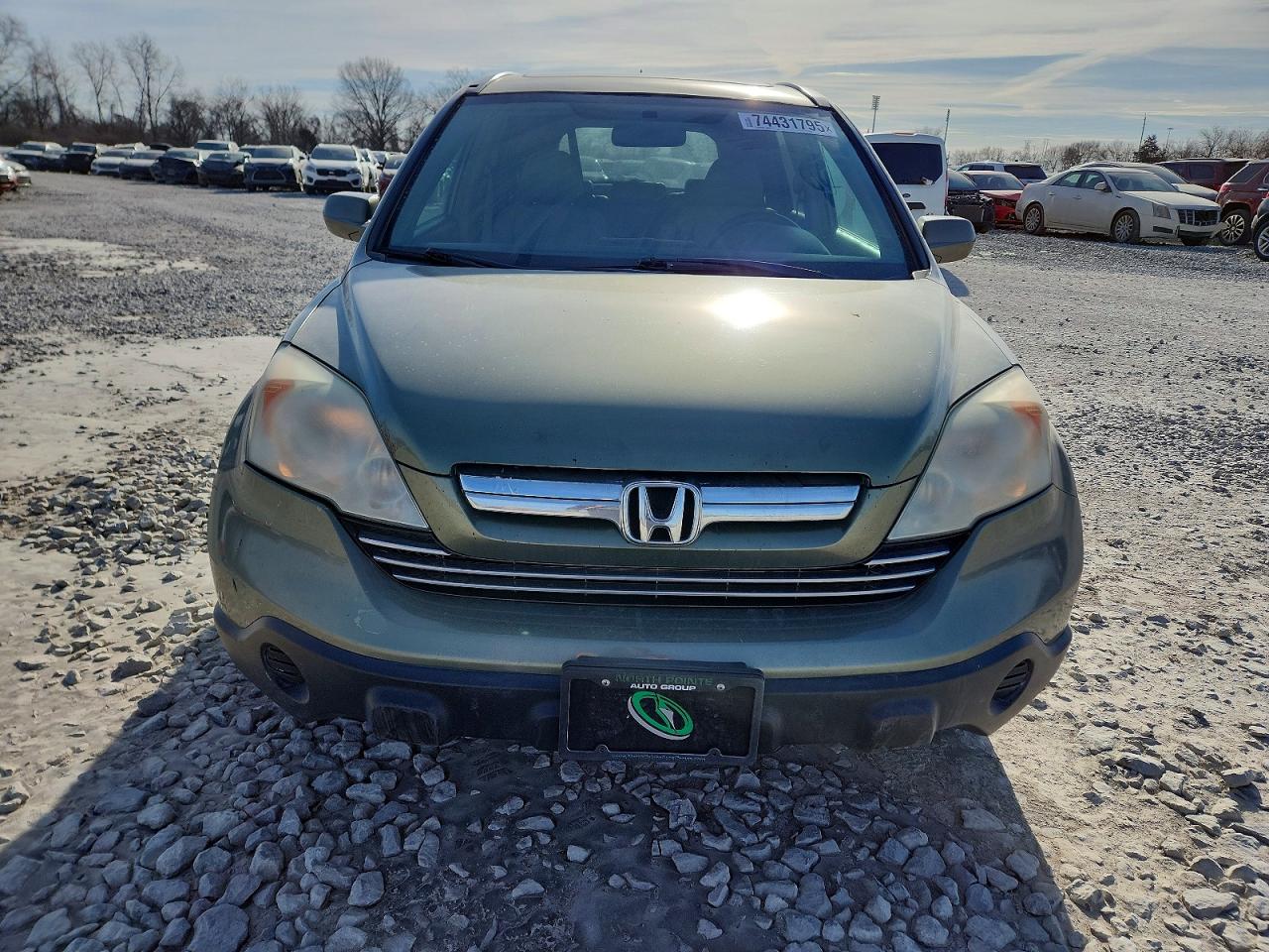 2009 HONDA CR-V EXL photo 5