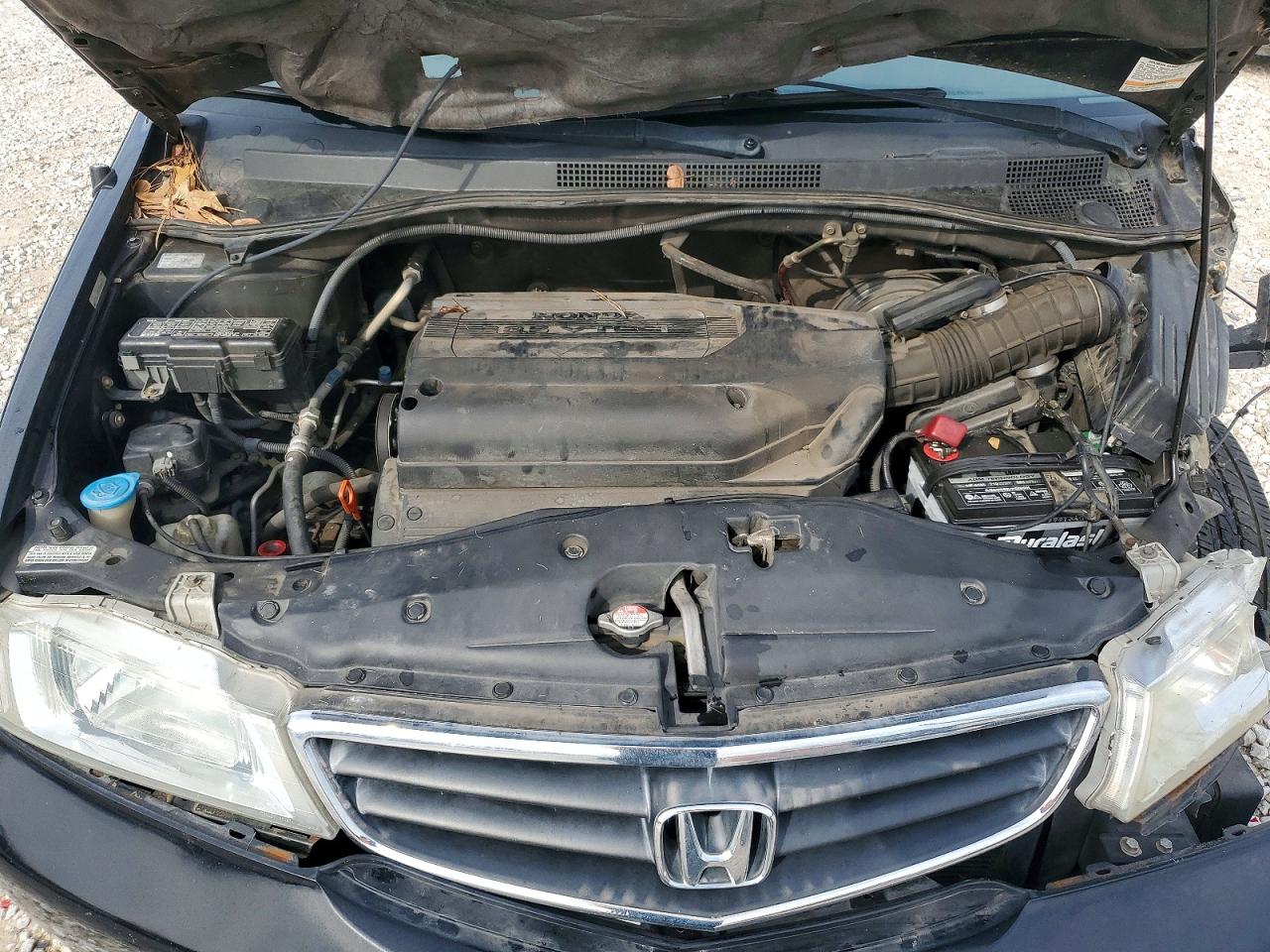 2003 HONDA ODYSSEY EXL photo 12