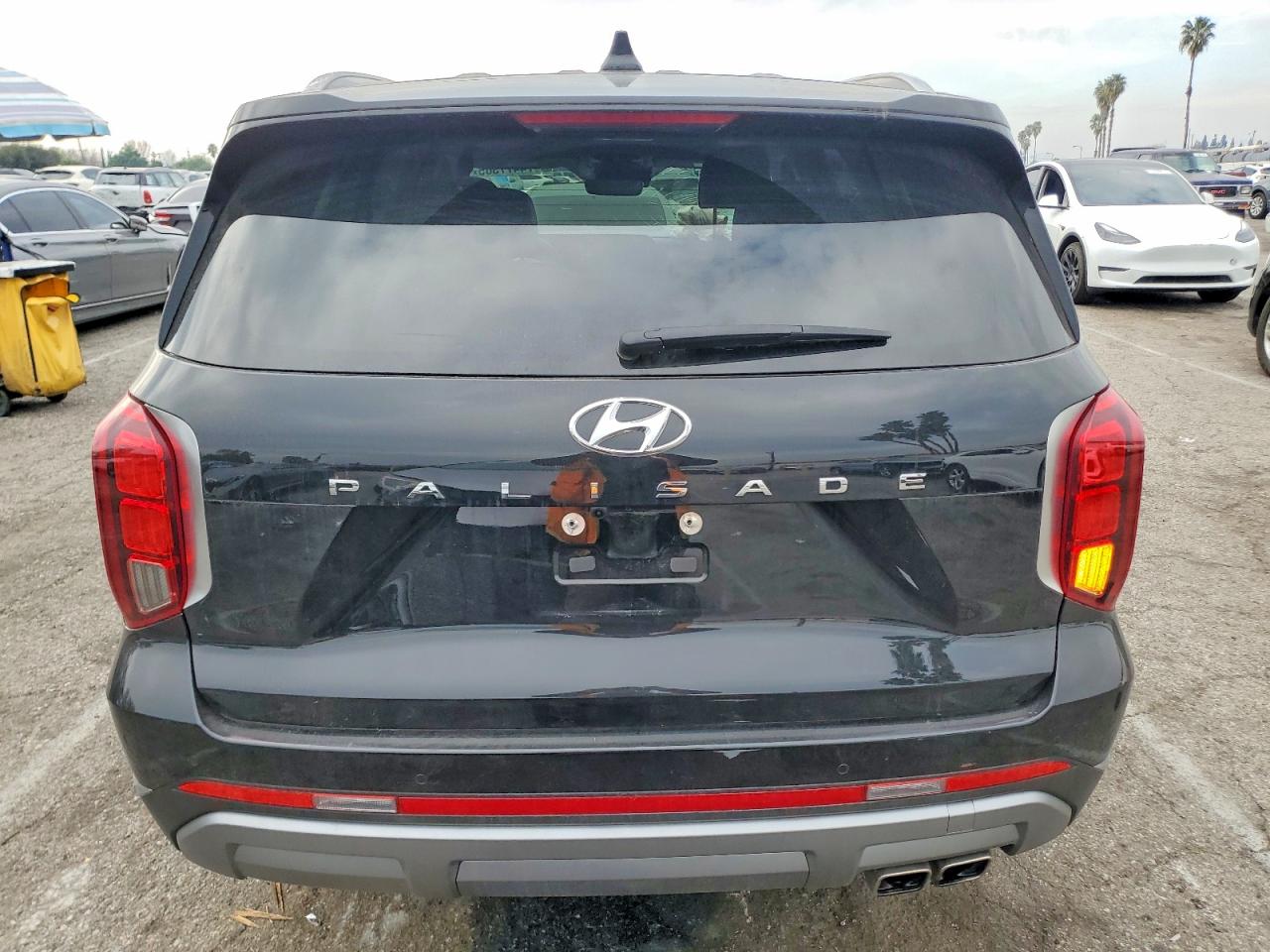 2024 HYUNDAI PALISADE LIMITED photo 6