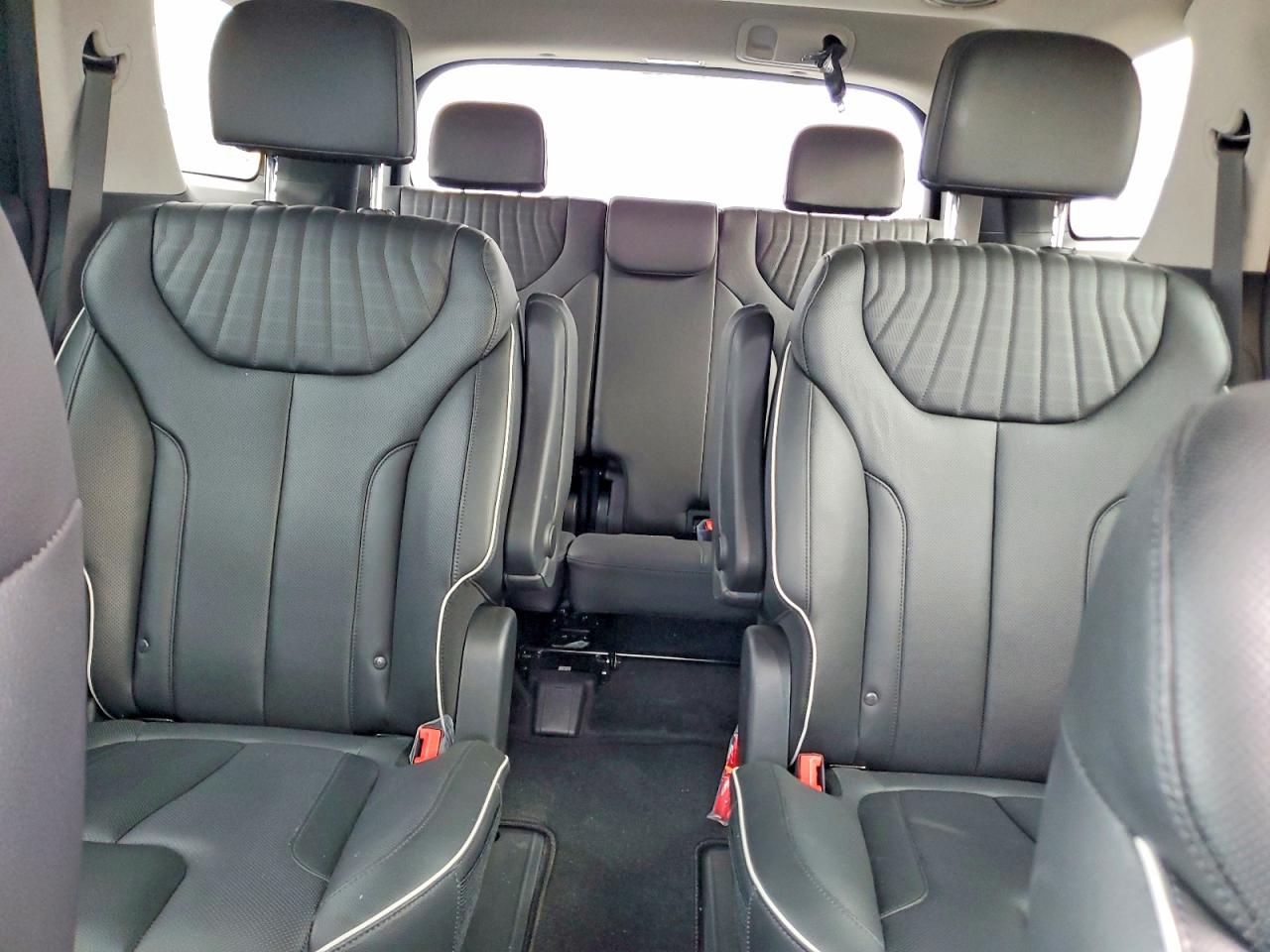 2024 HYUNDAI PALISADE LIMITED photo 10