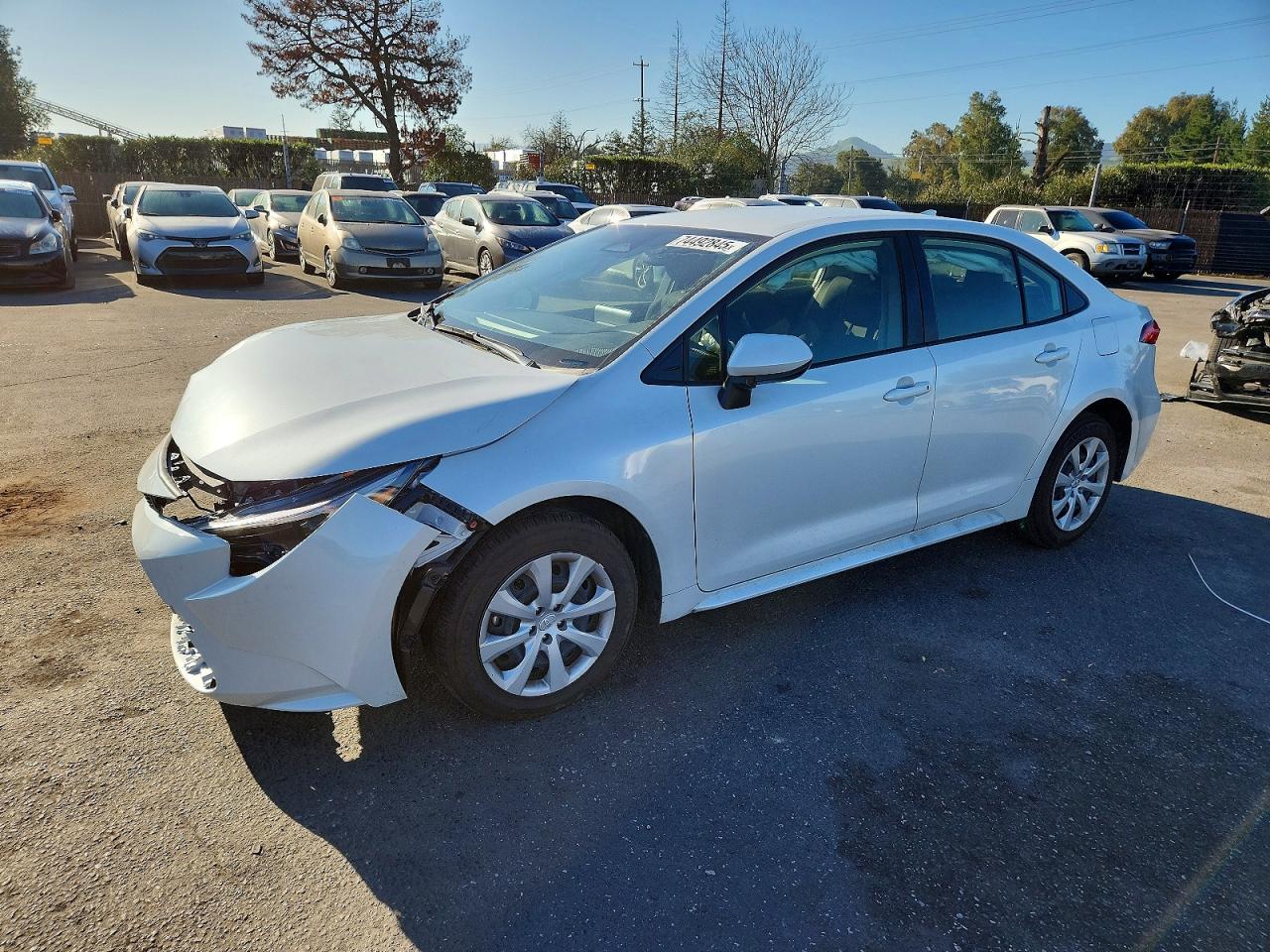 2025 TOYOTA COROLLA
