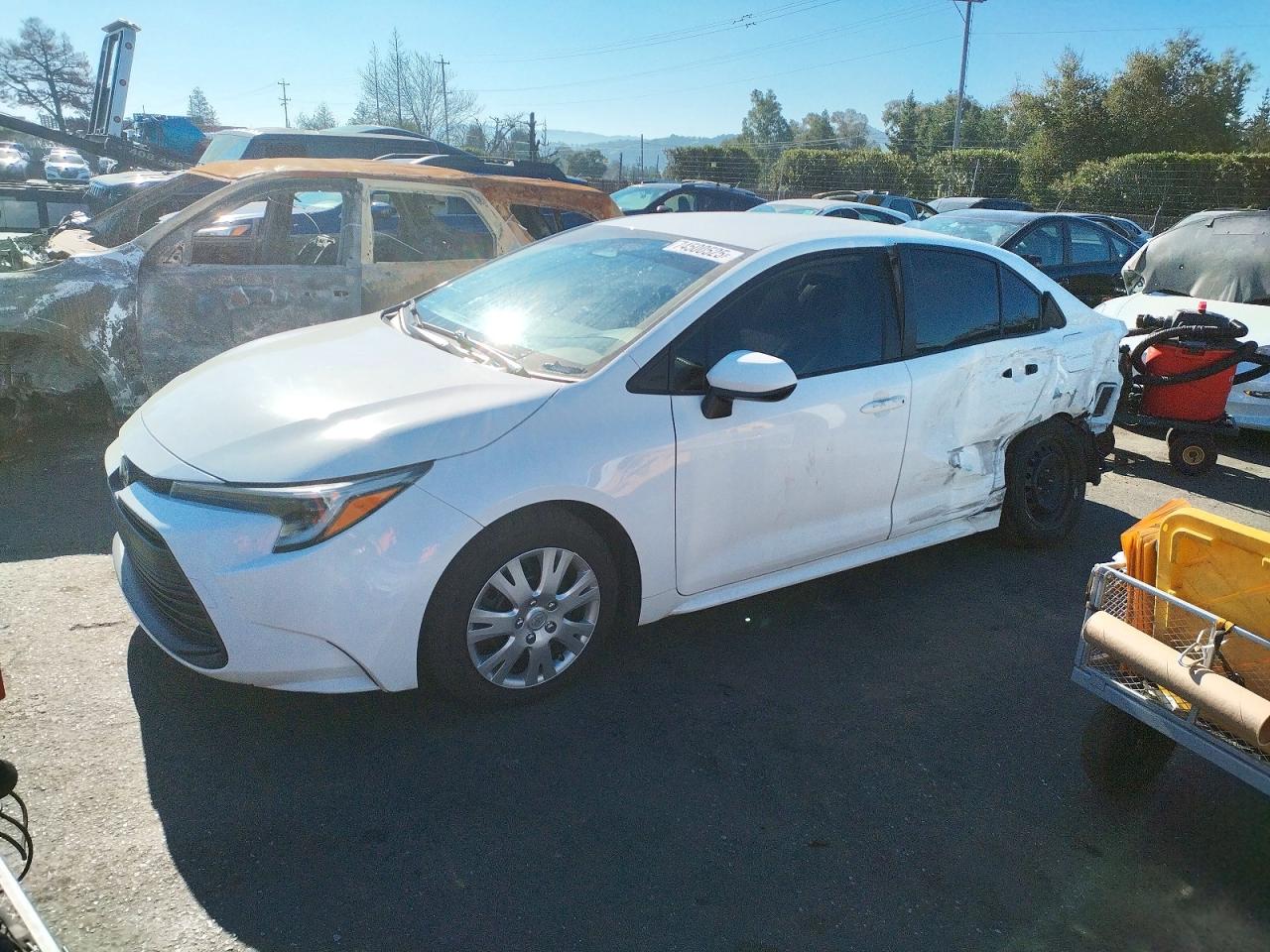 2023 TOYOTA COROLLA