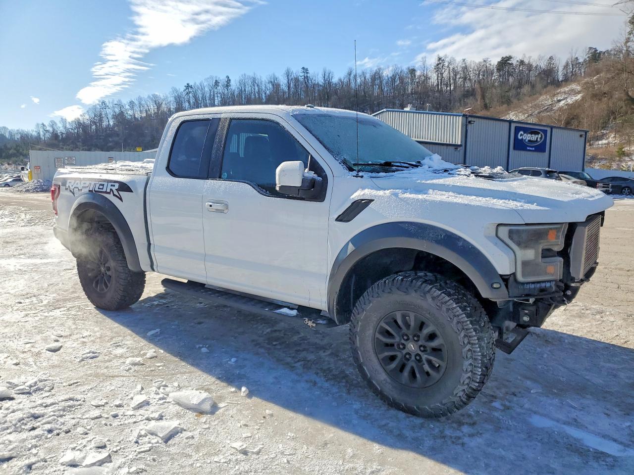 2017 FORD F150 RAPTOR photo 7