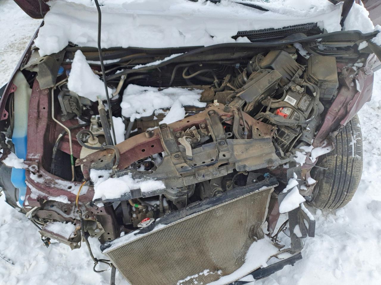 2015 HONDA CR-V EX photo 12