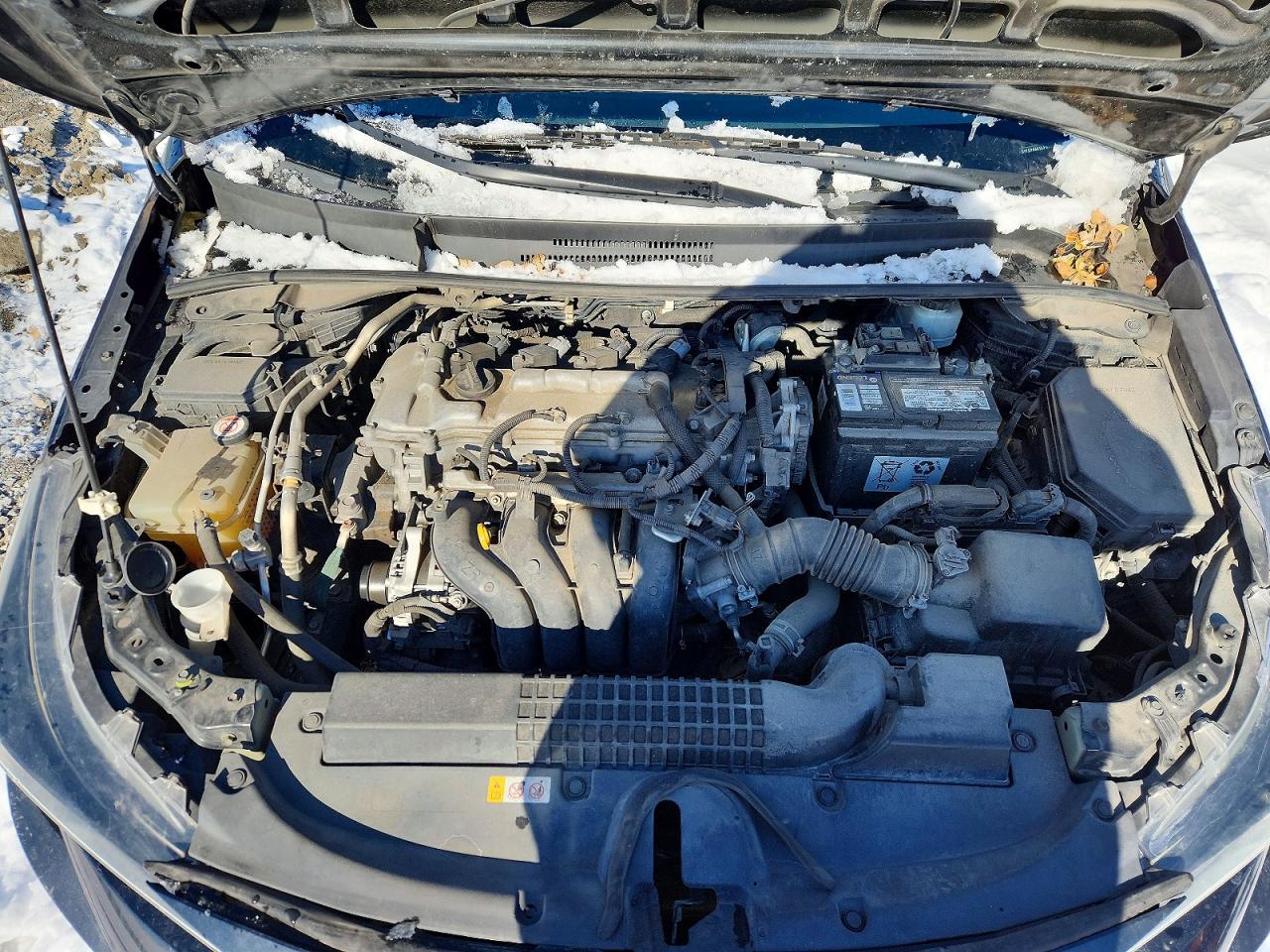 2020 TOYOTA COROLLA LE photo 11