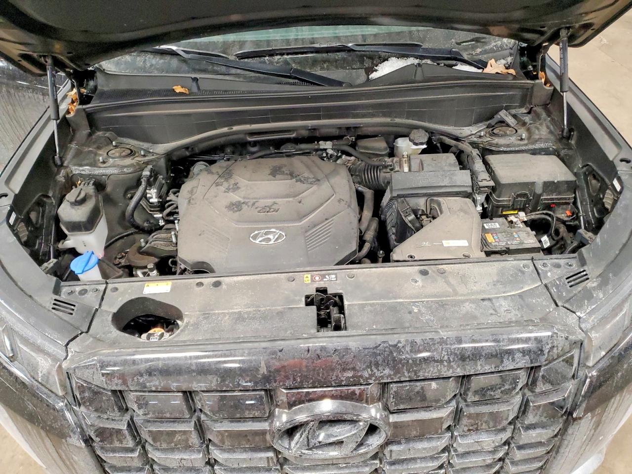 2024 HYUNDAI PALISADE SEL photo 12