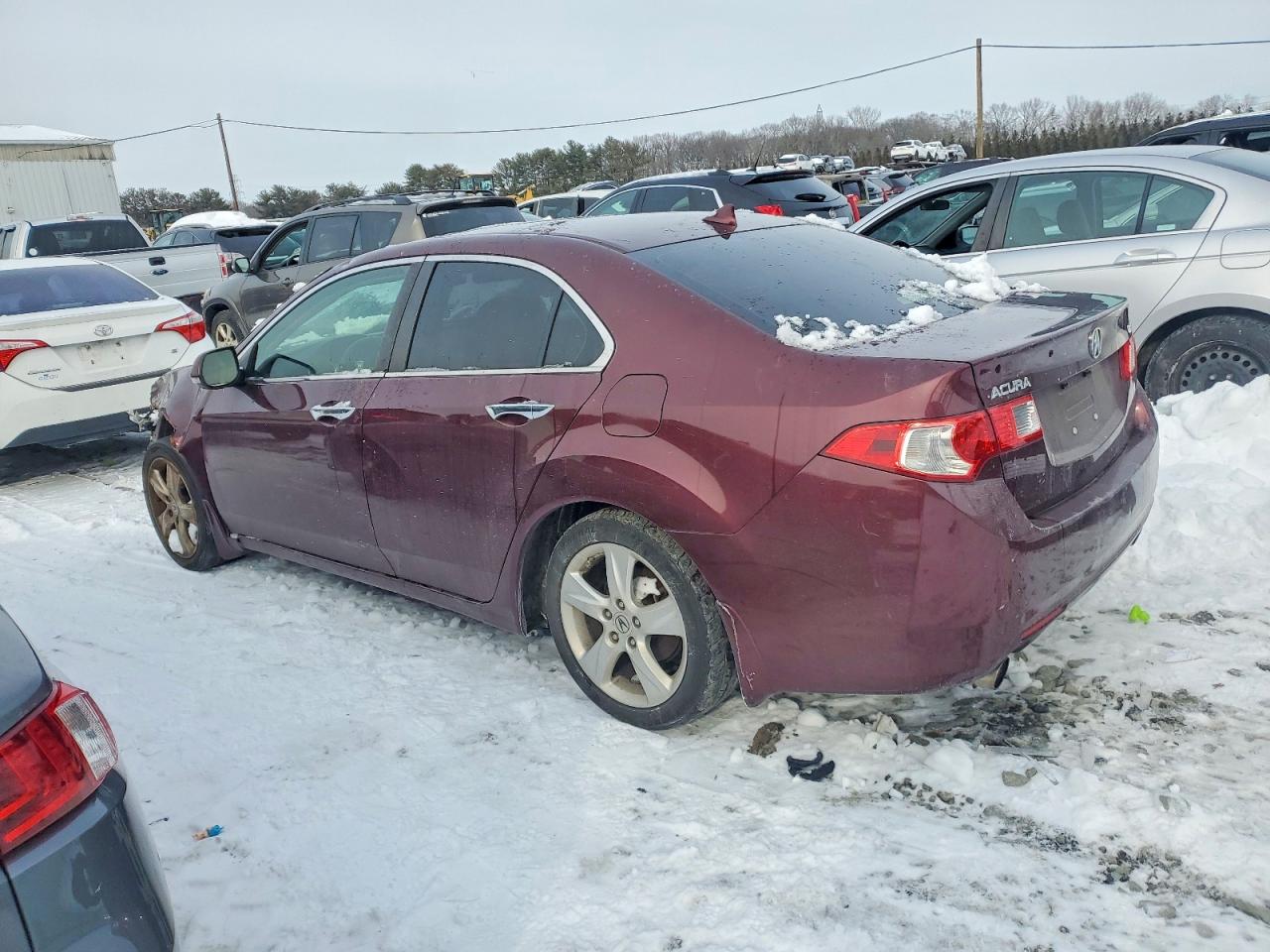 2010 ACURA TSX photo 4