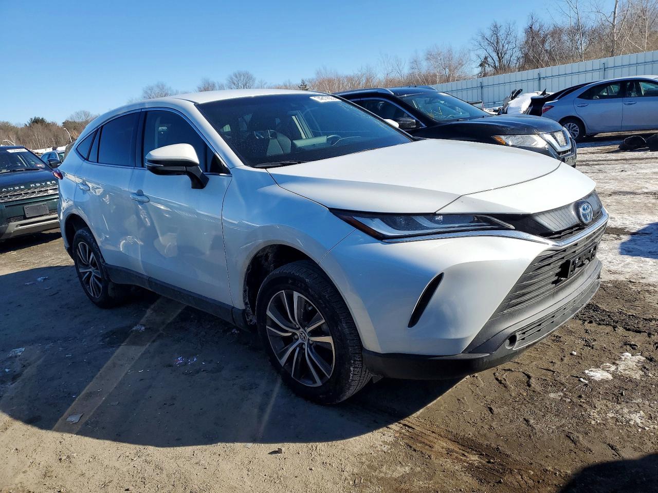 2023 TOYOTA VENZA LE photo 10