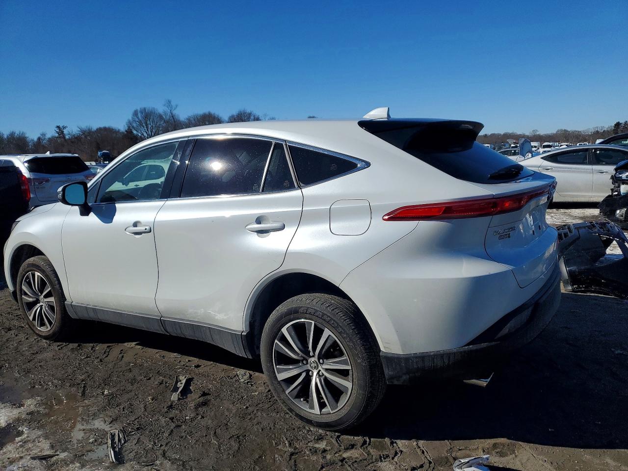 2023 TOYOTA VENZA LE photo 4