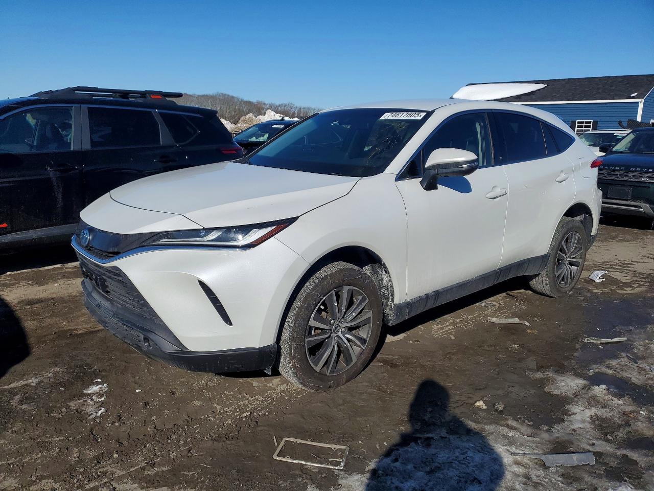2023 TOYOTA VENZA
