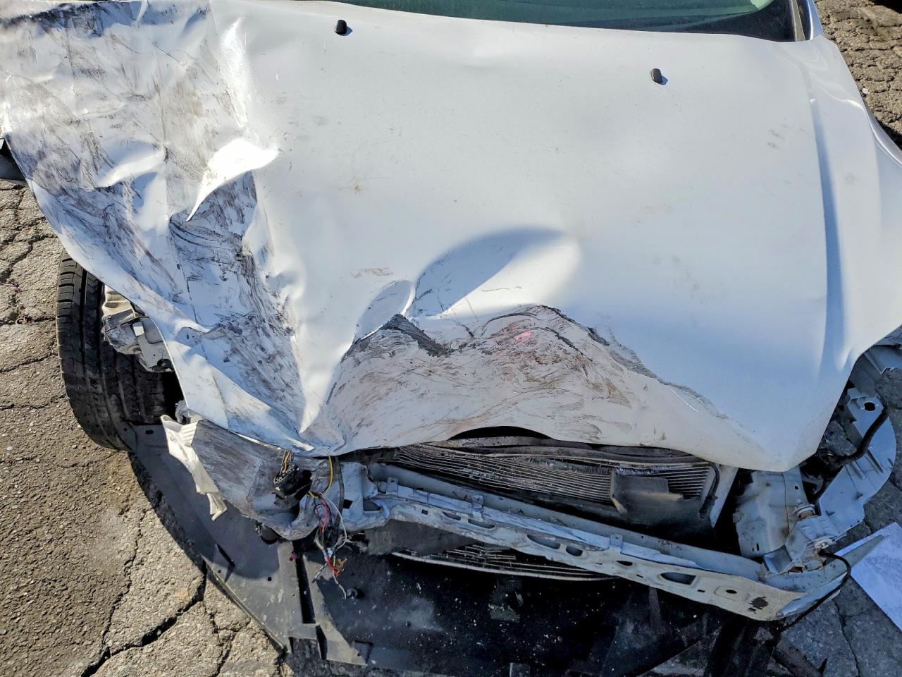 2014 FORD FOCUS SE photo 21