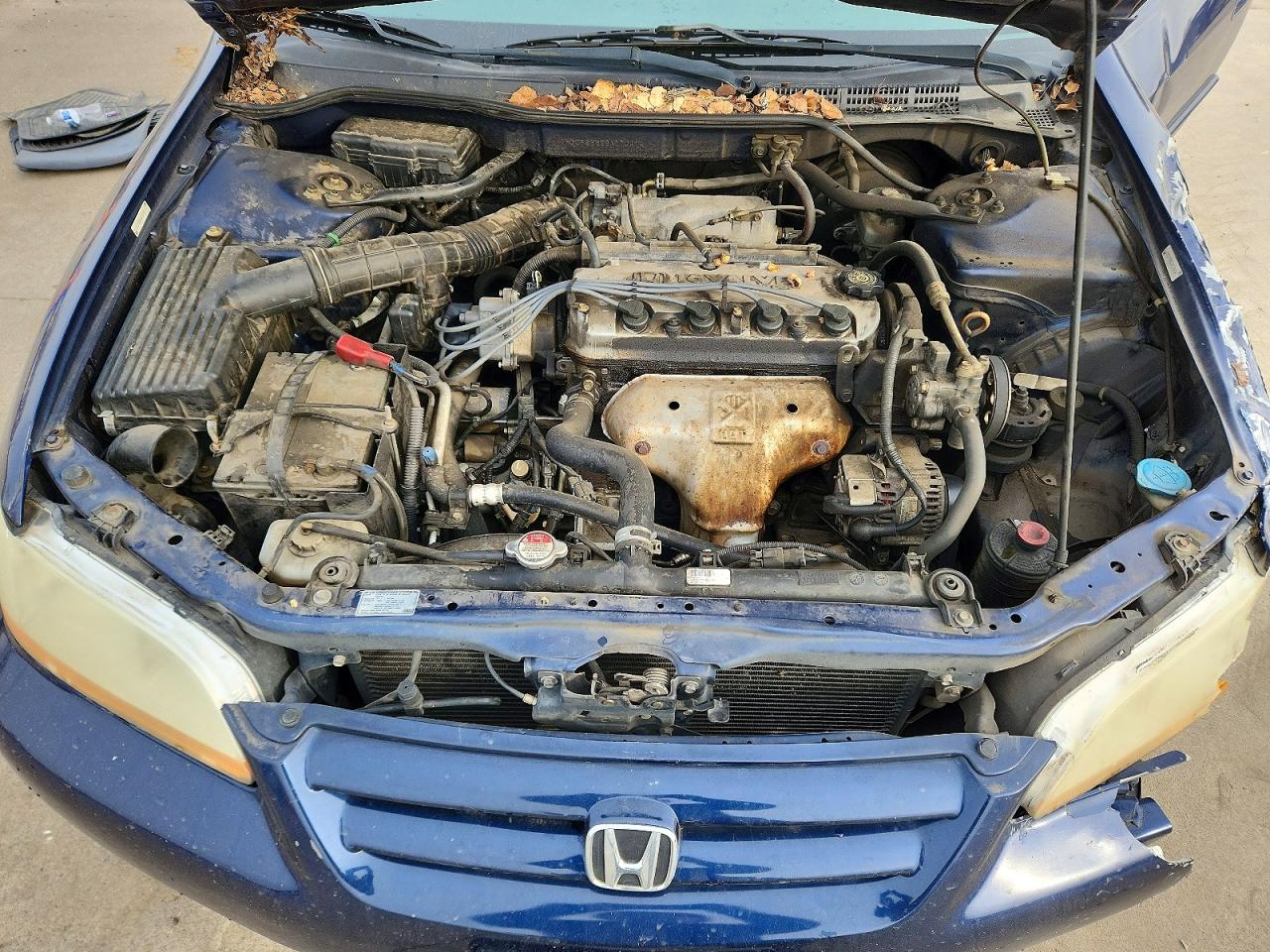 2002 HONDA ACCORD VALUE photo 11