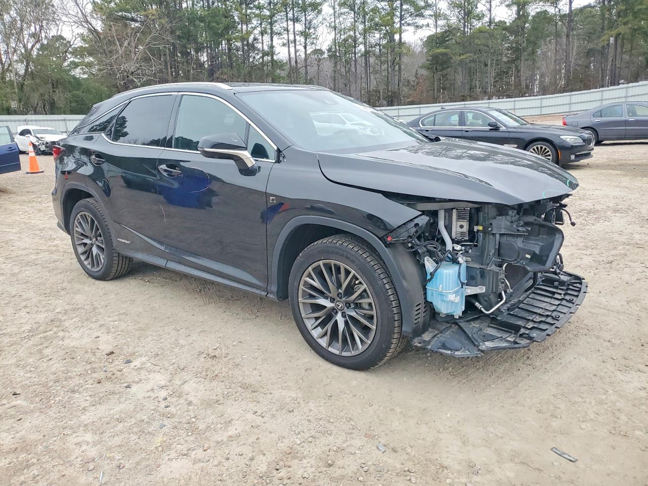 2020 LEXUS RX 450H F SPORT photo 10