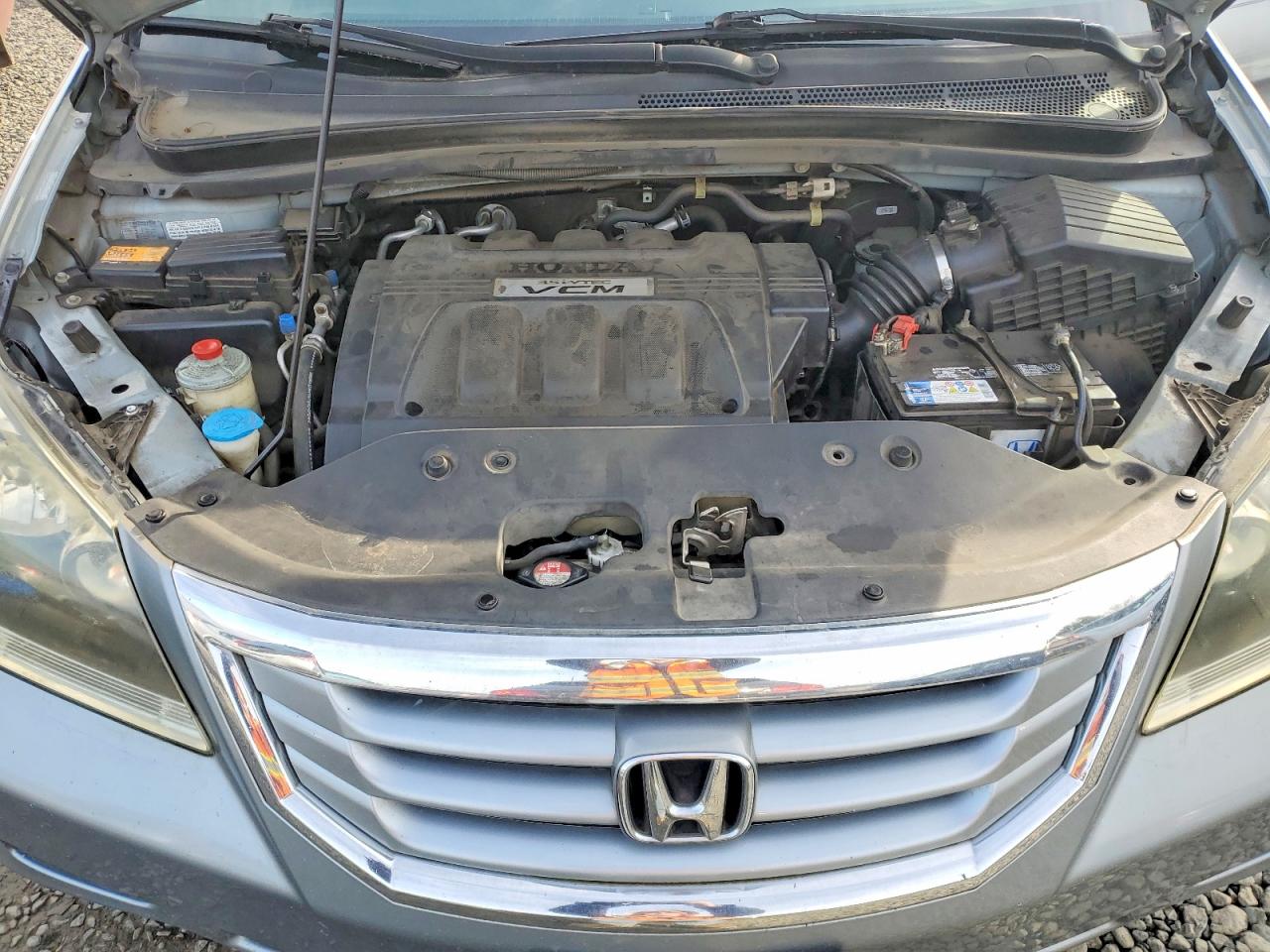 2008 HONDA ODYSSEY EXL photo 12