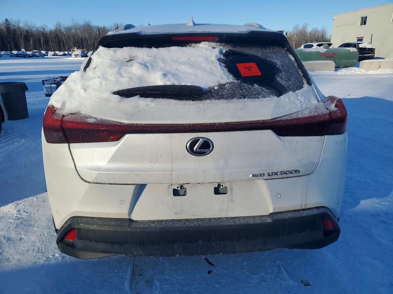 2025 LEXUS UX 300H BASE photo 11