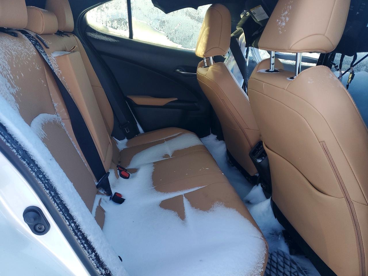 2025 LEXUS UX 300H BASE photo 19