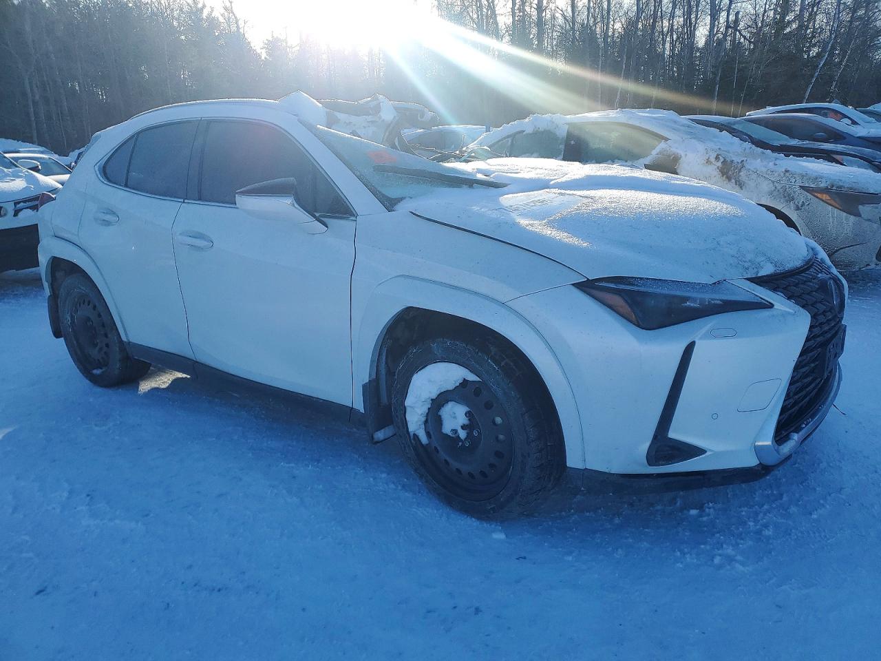 2025 LEXUS UX 300H BASE photo 7