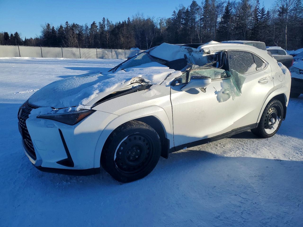 2025 LEXUS UX