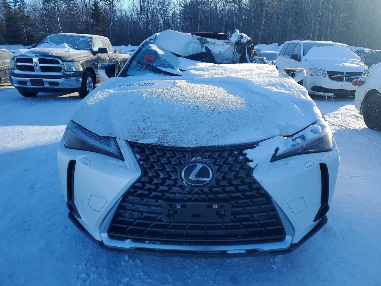 2025 LEXUS UX 300H BASE photo 9