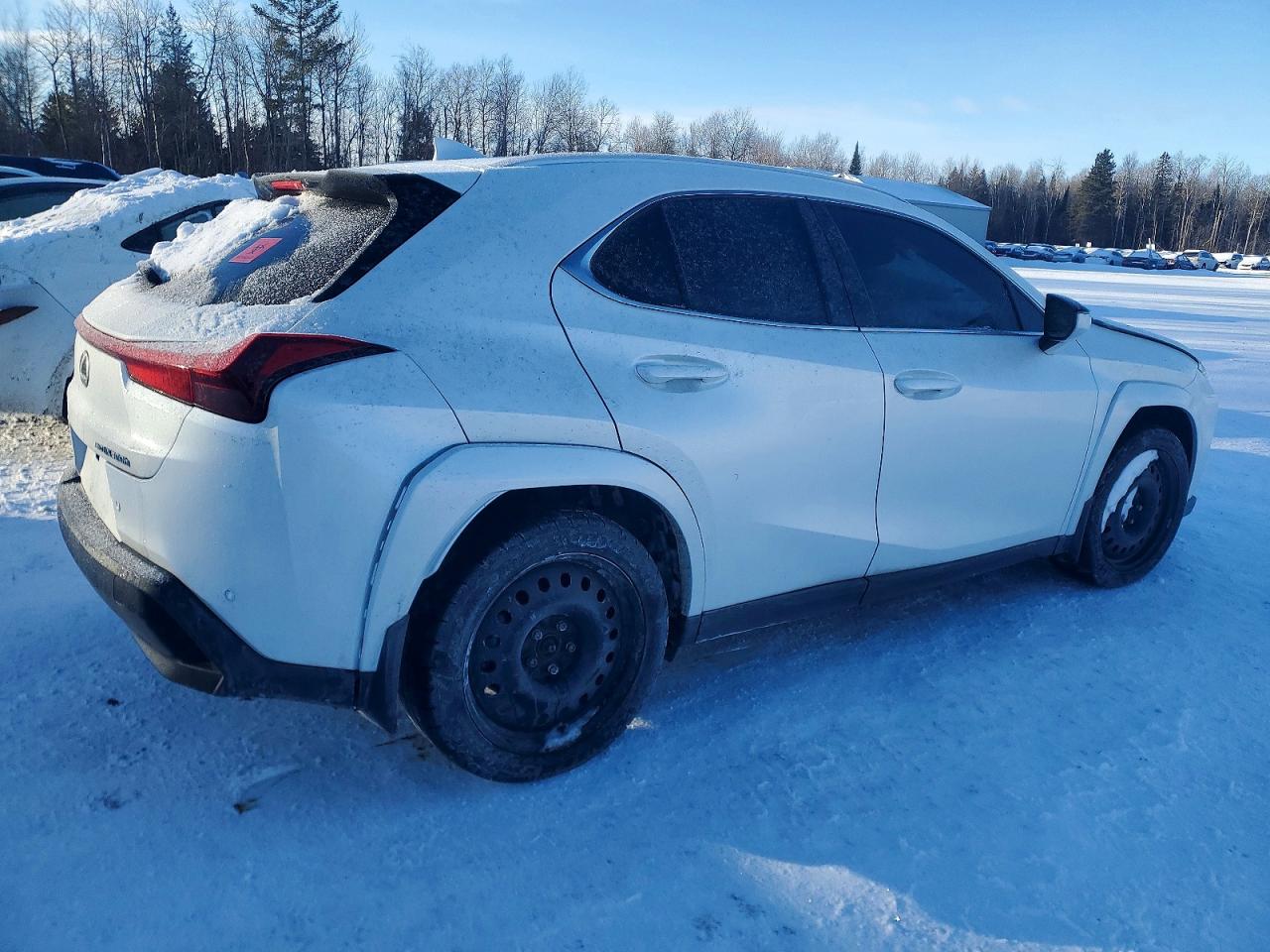 2025 LEXUS UX 300H BASE photo 5