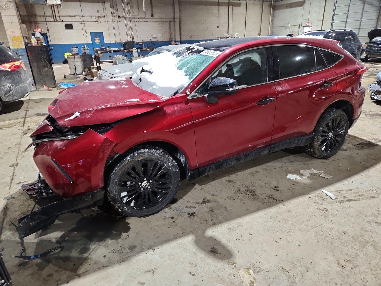 2023 TOYOTA VENZA