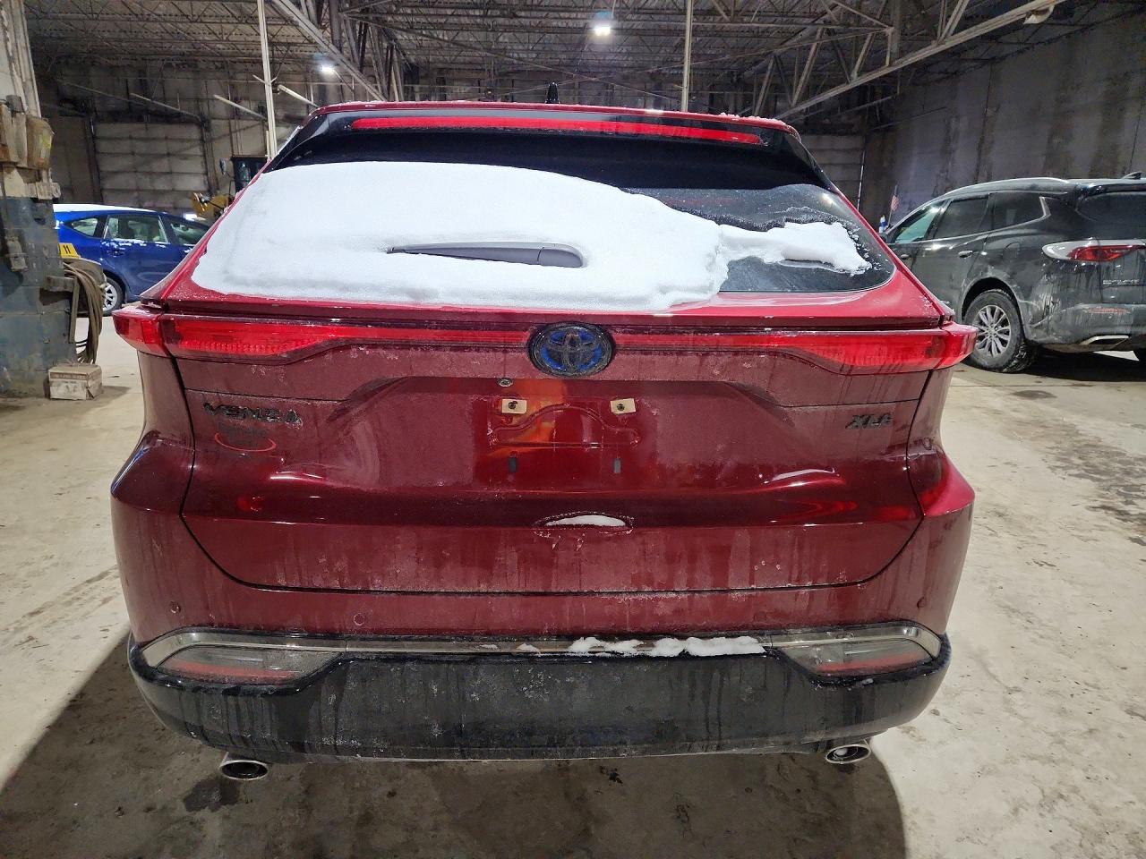 2023 TOYOTA VENZA LE photo 11