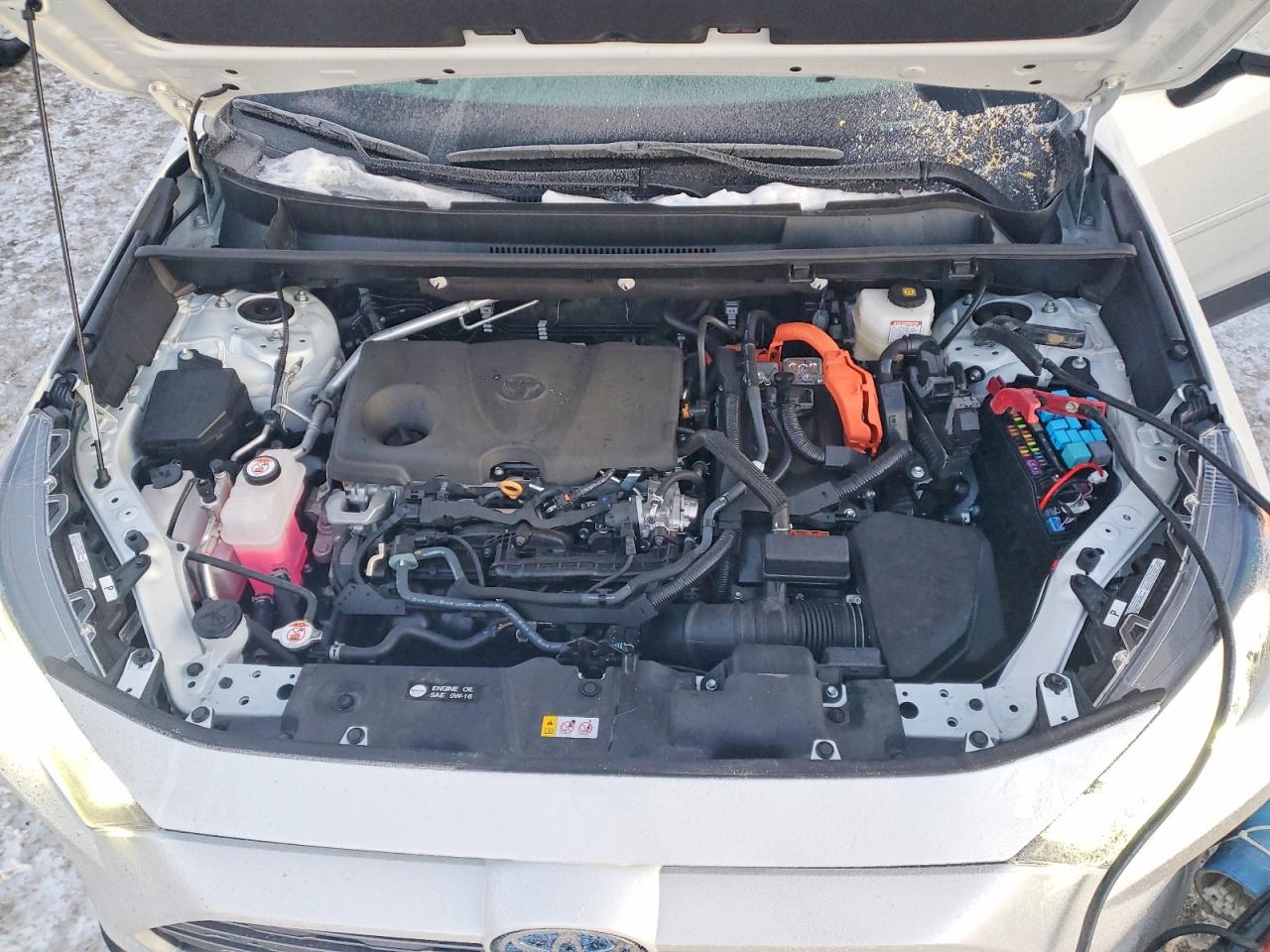 2024 TOYOTA RAV4 LIMITED photo 12