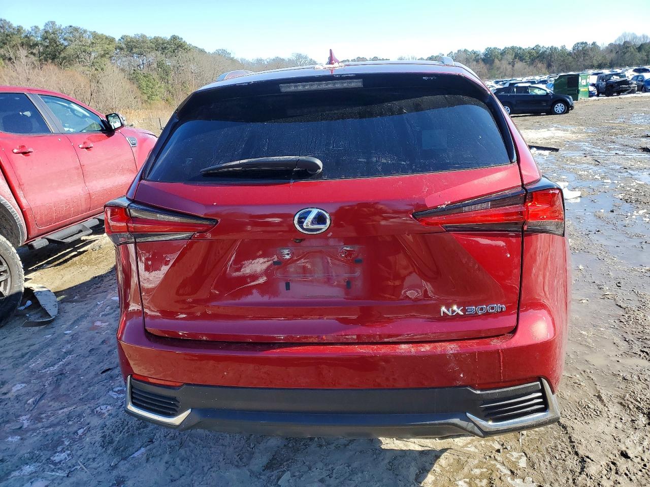 2021 LEXUS NX photo 6