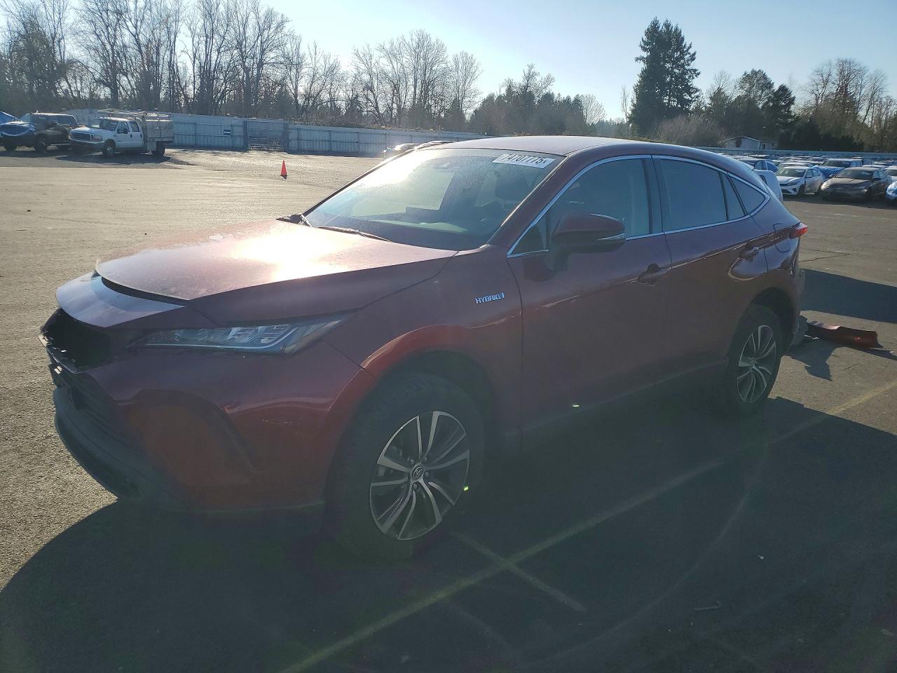 2021 TOYOTA VENZA