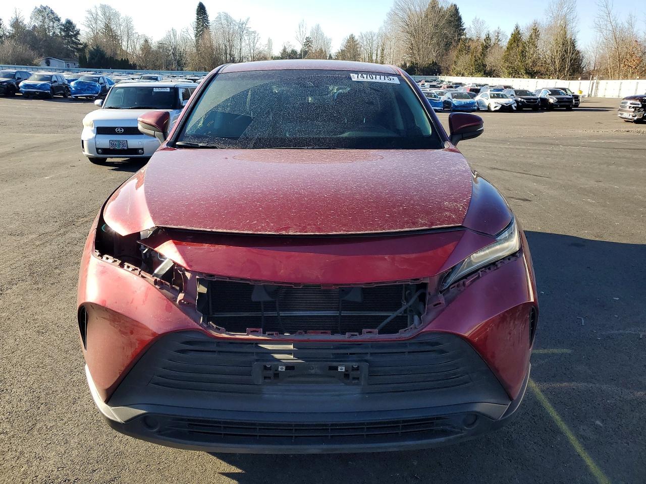 2021 TOYOTA VENZA LE photo 5