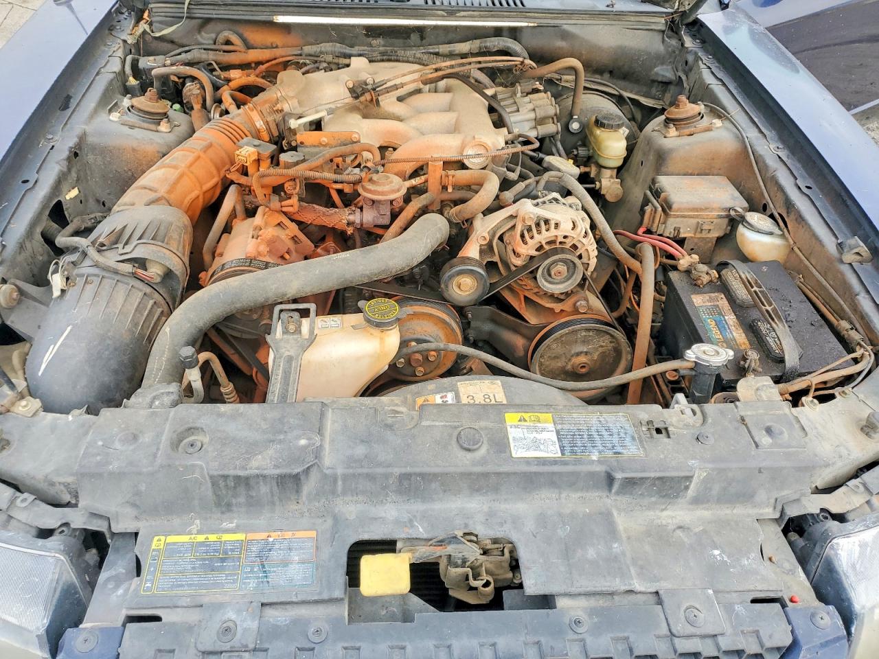 2001 FORD MUSTANG photo 11