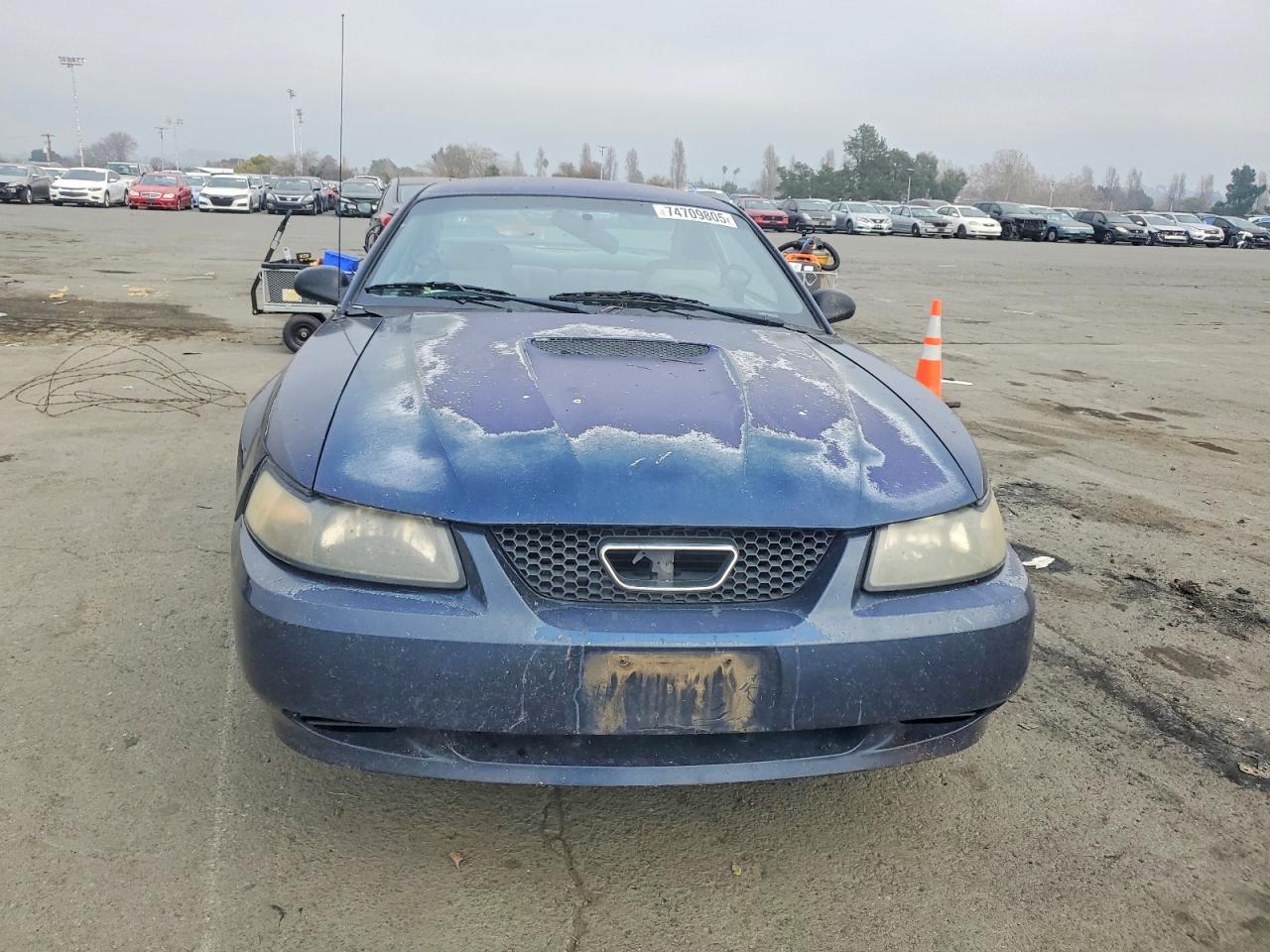 2001 FORD MUSTANG photo 5