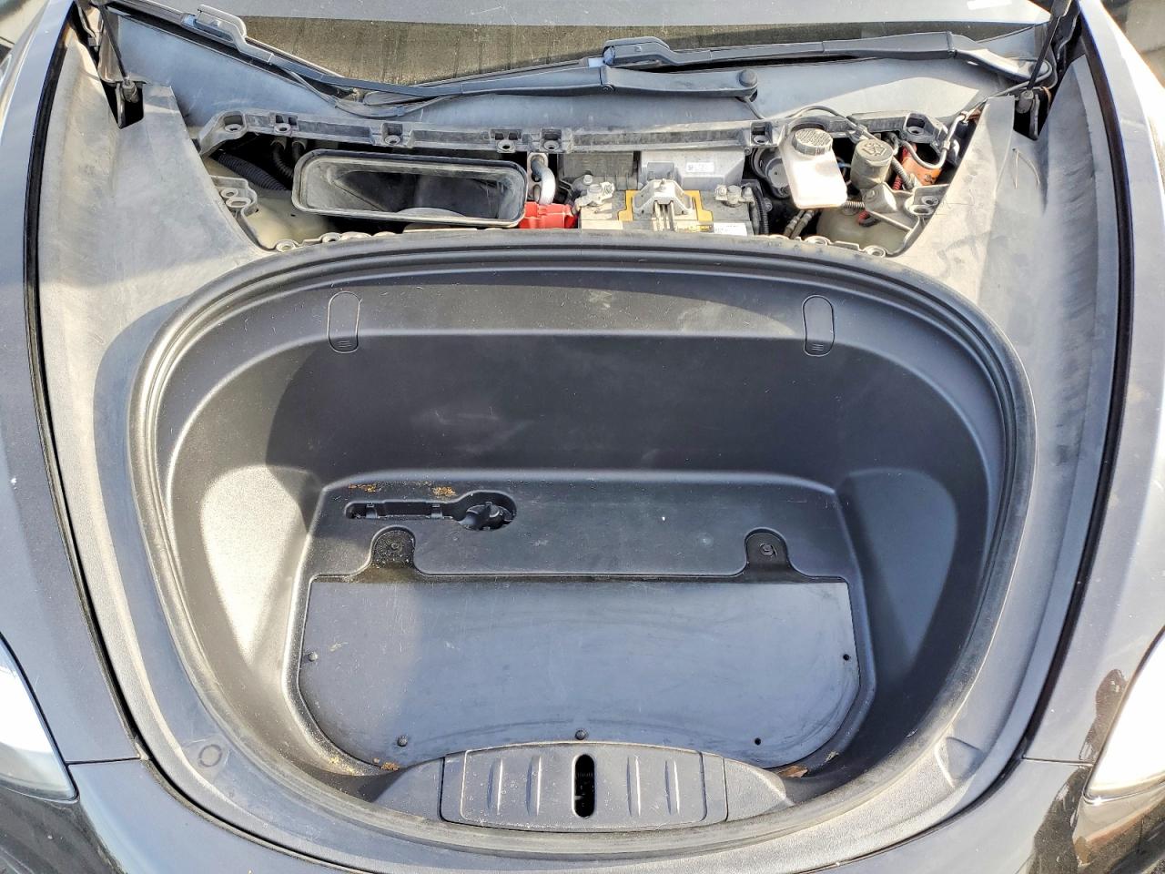 2019 TESLA MODEL 3 photo 21