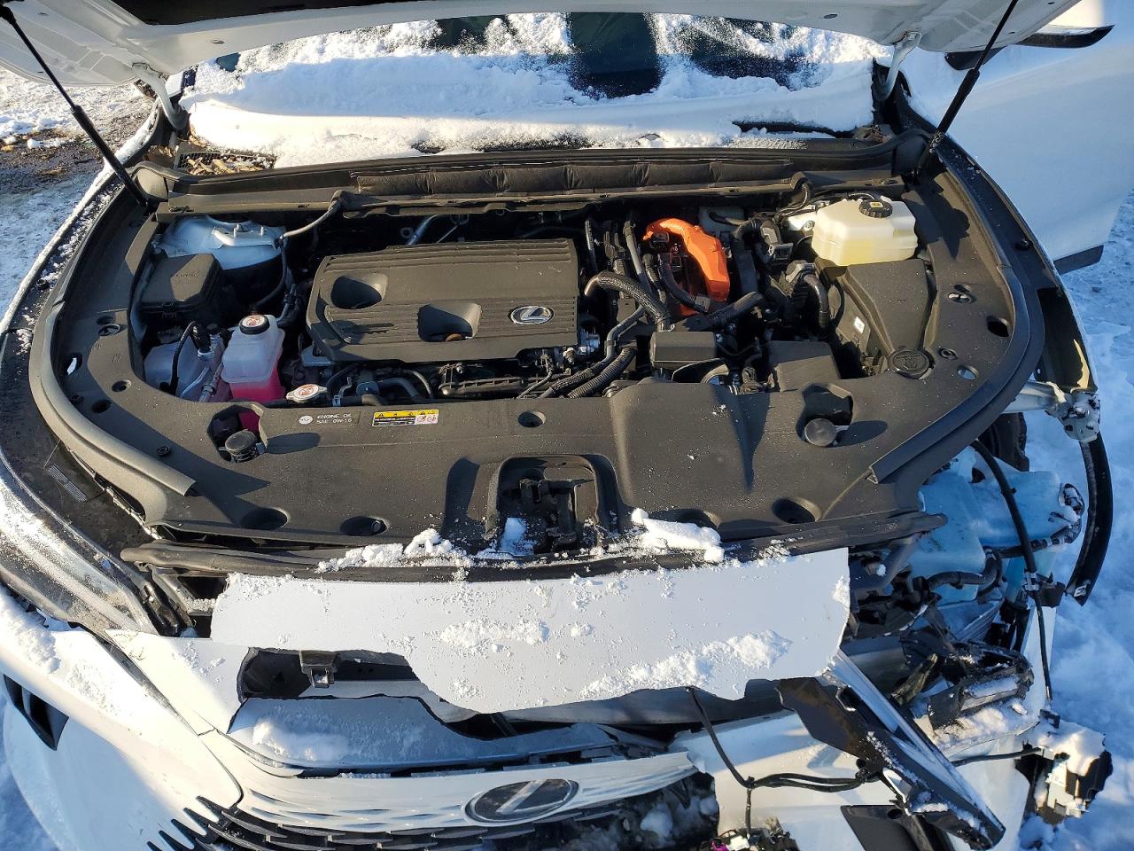 2025 LEXUS RX 350H BASE photo 12