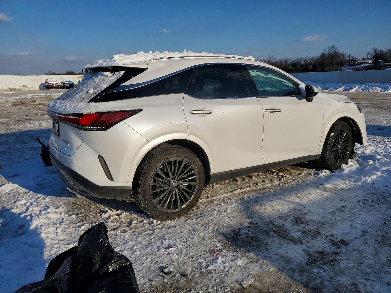 2025 LEXUS RX 350H BASE photo 3