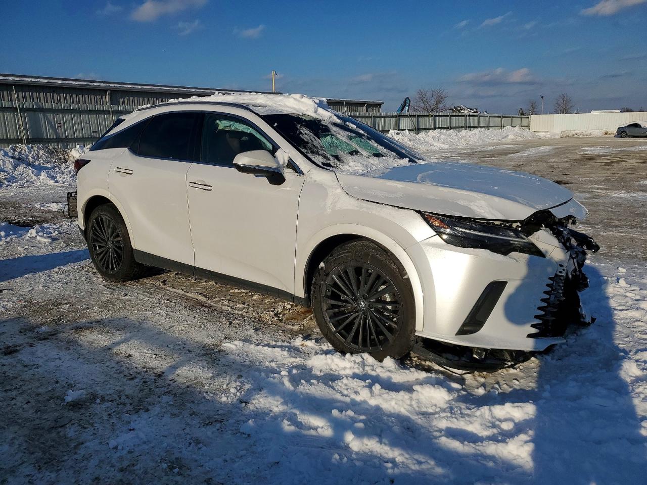 2025 LEXUS RX 350H BASE photo 4