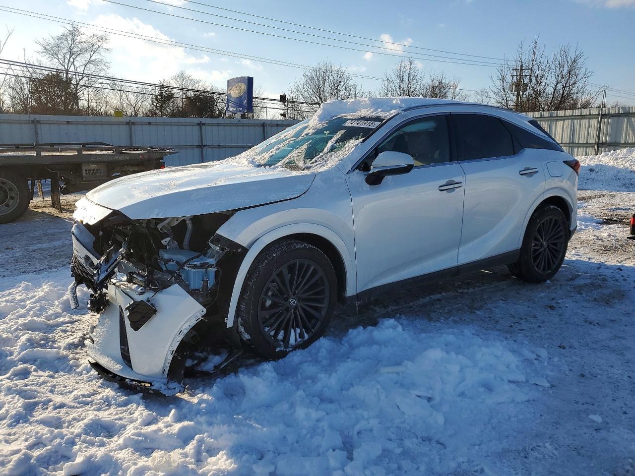 2025 LEXUS RX