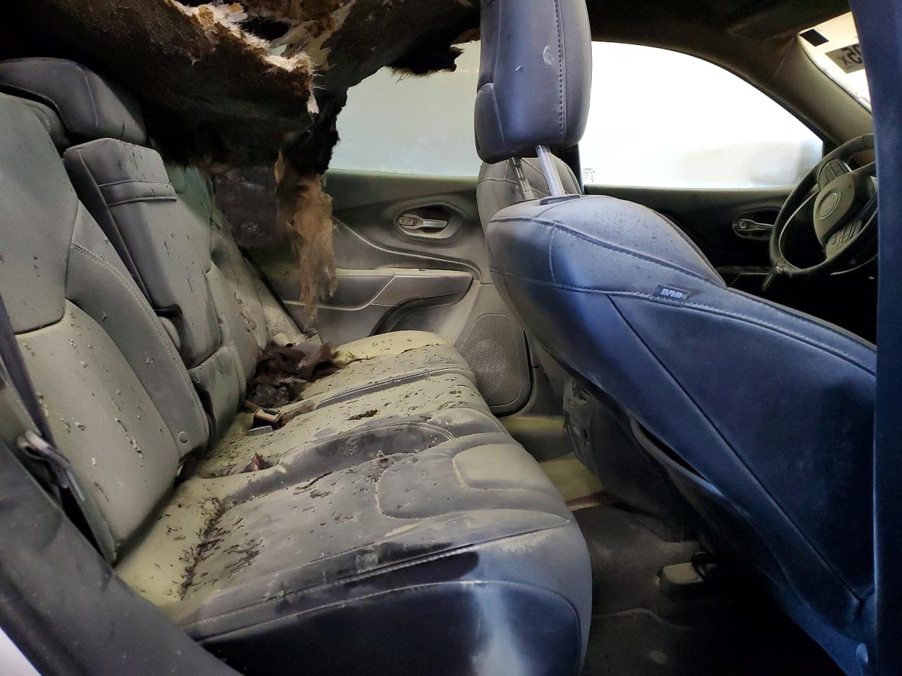 2019 JEEP CHEROKEE LIMITED photo 19