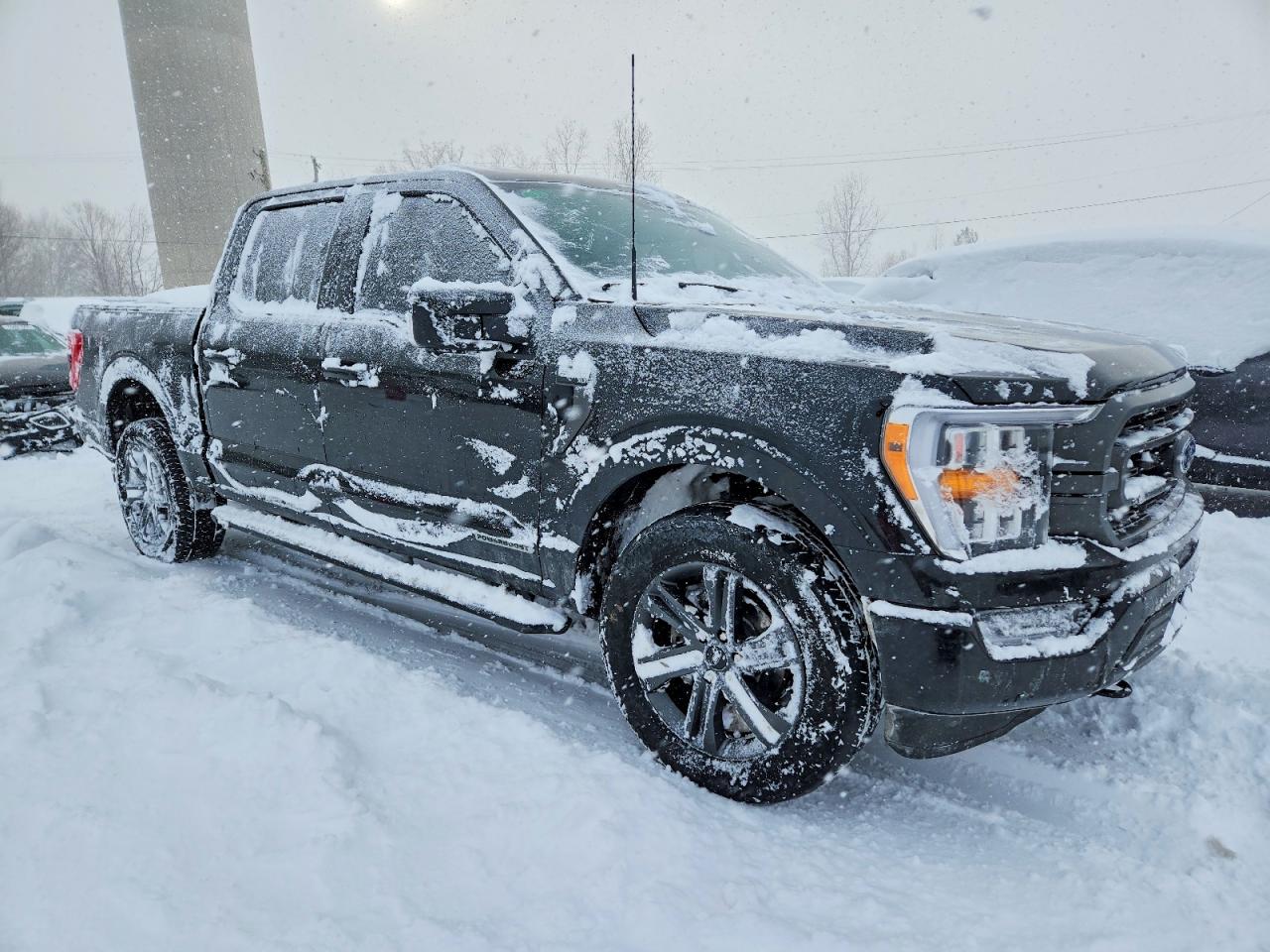 2023 FORD F150 SUPERCREW photo 4