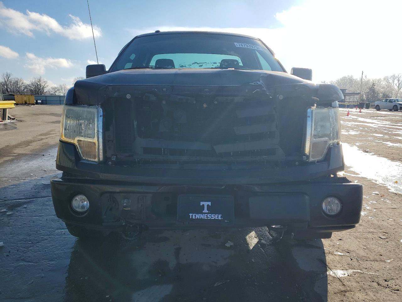 2009 FORD F150 photo 5