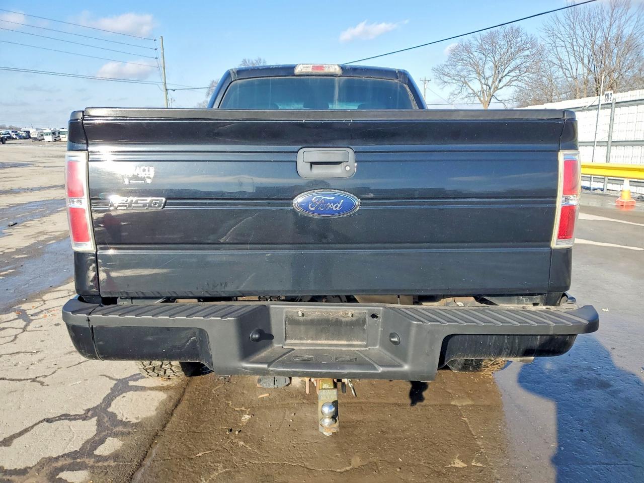 2009 FORD F150 photo 6