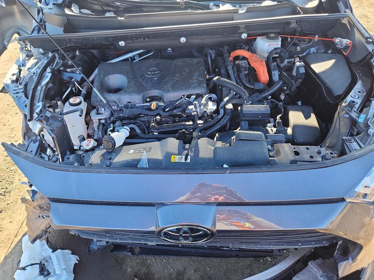2025 TOYOTA RAV4 photo 12
