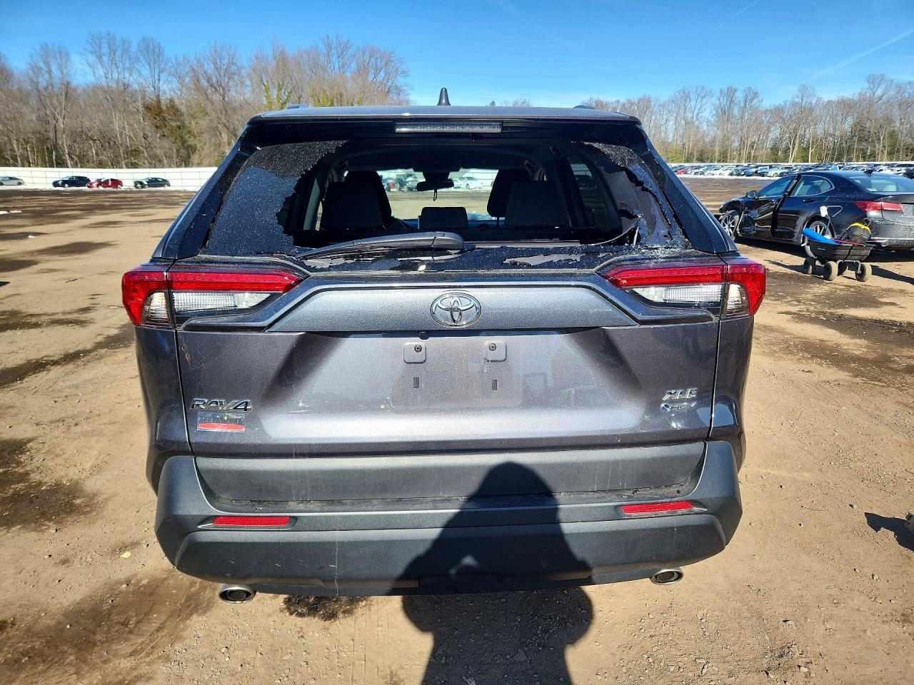 2025 TOYOTA RAV4 photo 6